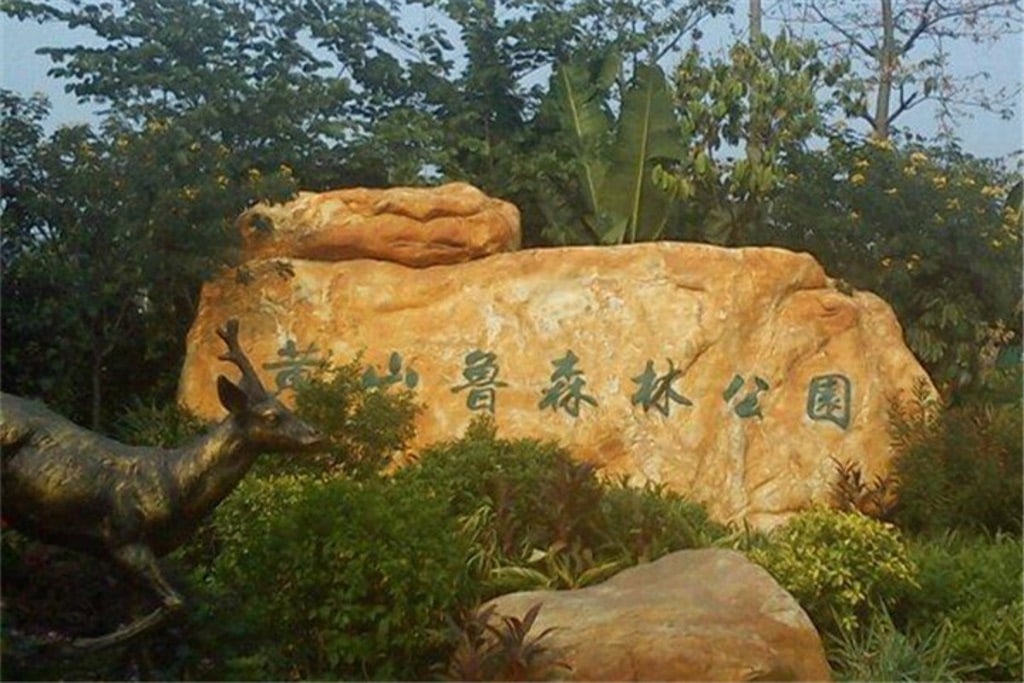 黄山鲁森林公园 黄山鲁森林公园